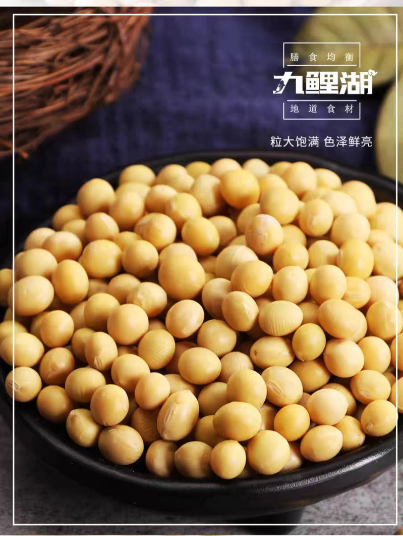  九鲤湖 【赣品出赣】黄豆500g 非转基因五谷杂粮