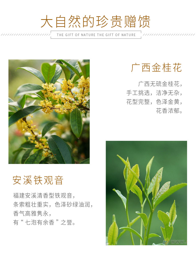  CHALI 茶里桂花乌龙茶 花草茶水果茶袋泡茶冷泡茶叶包花茶