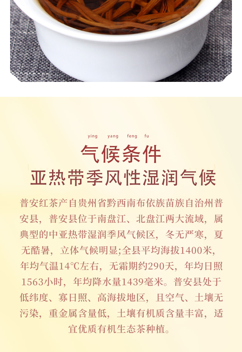 蛮邦贡春 金丝红 普安红茶特级250g