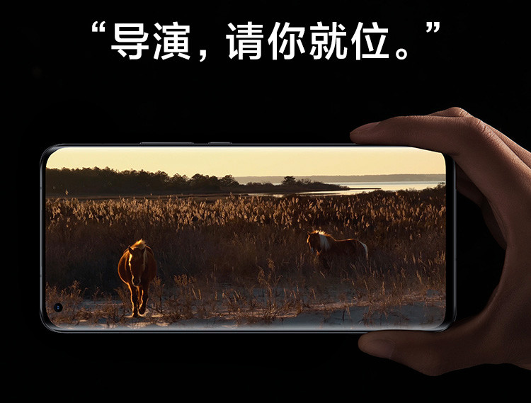 小米 11 Ultra 至尊 5G 骁龙888 2K 陶瓷工艺 12GB+512GB（套装版）