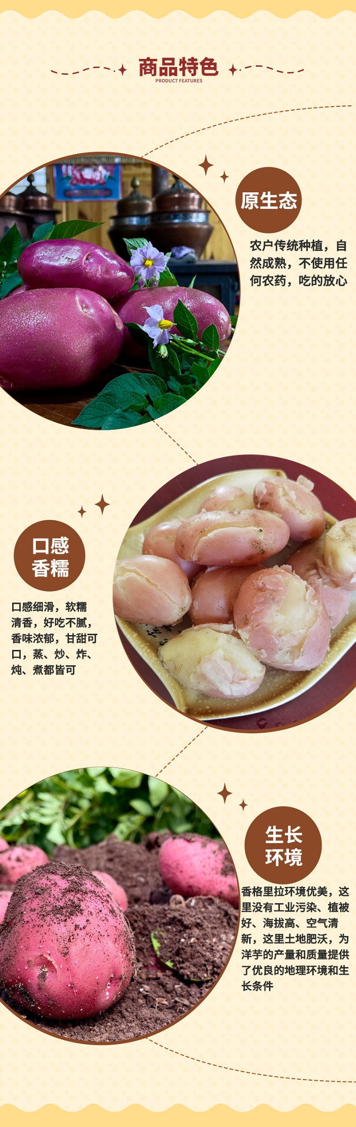 农家自产 【云南香格里拉】尼西高原红皮土豆  2.5kg