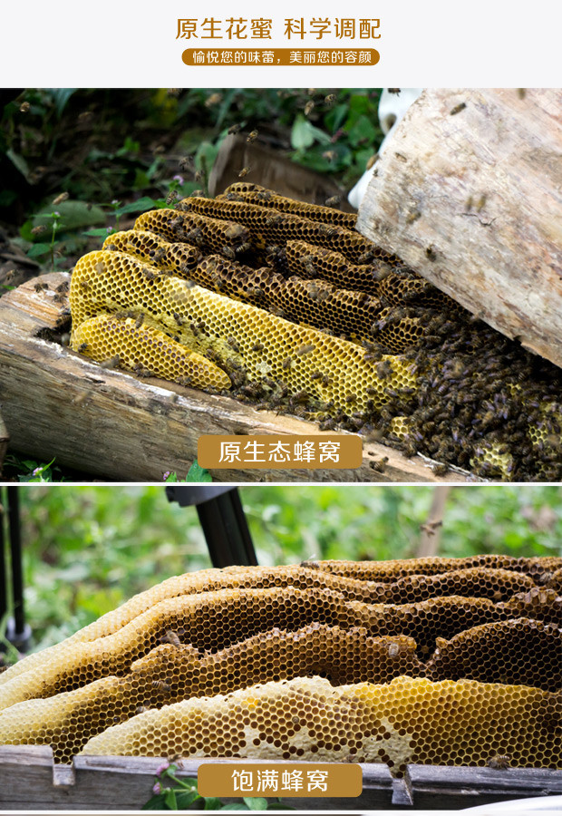 漢黎蜂蜜小包装农家纯正秦岭土蜂蜜自产天然野生百花蜜源蜜糖便携条装