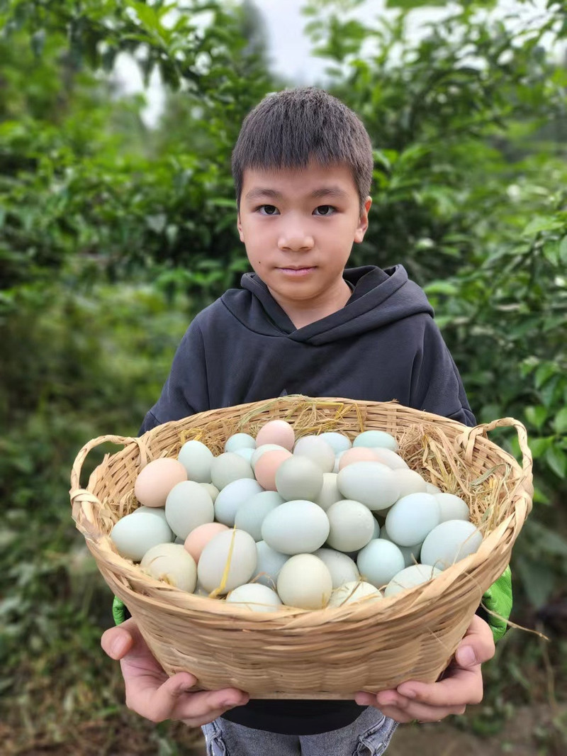 溢康尚品 绿壳土鸡蛋30枚装 1件