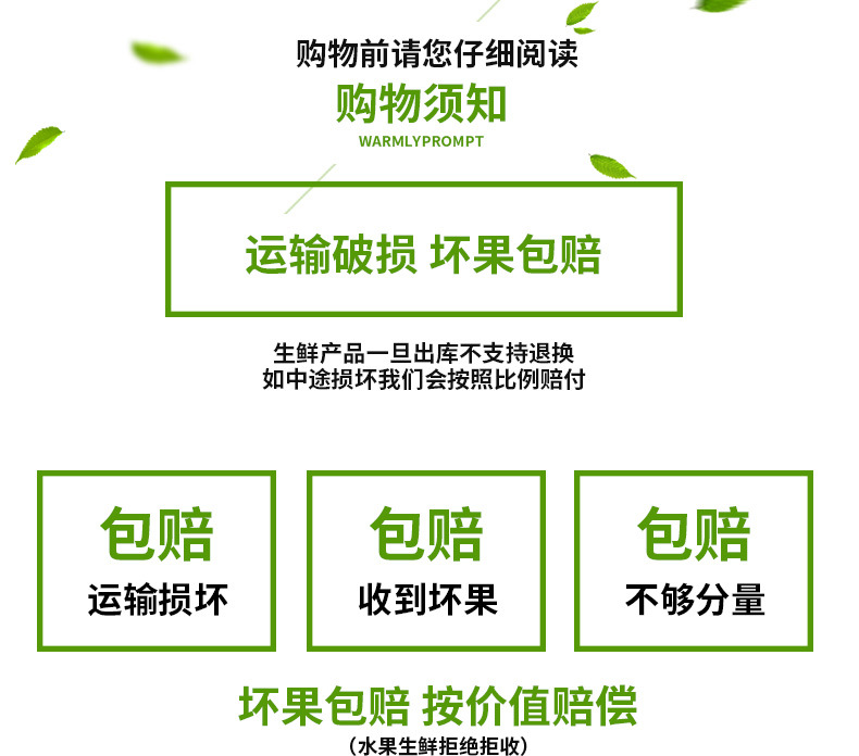 天天折上折 5斤金都一号红心火龙果 新鲜热带水果孕妇广西水果红肉火龙果