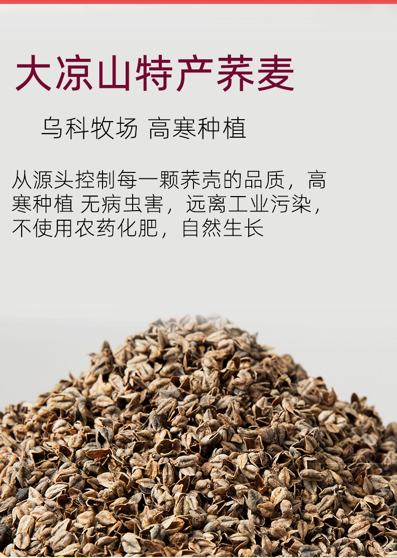 邛池 荞麦壳苦荞壳枕头枕芯护颈椎全荞麦皮填充物成人枕透气枕 散装