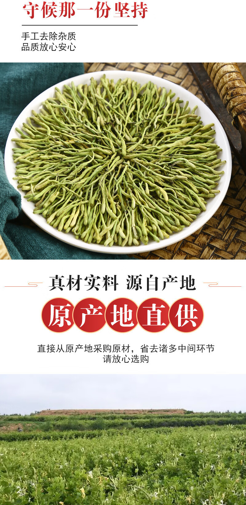 蒲骚 金银花茶 花茶 米银花草茶 去火 养生茶 30克/罐