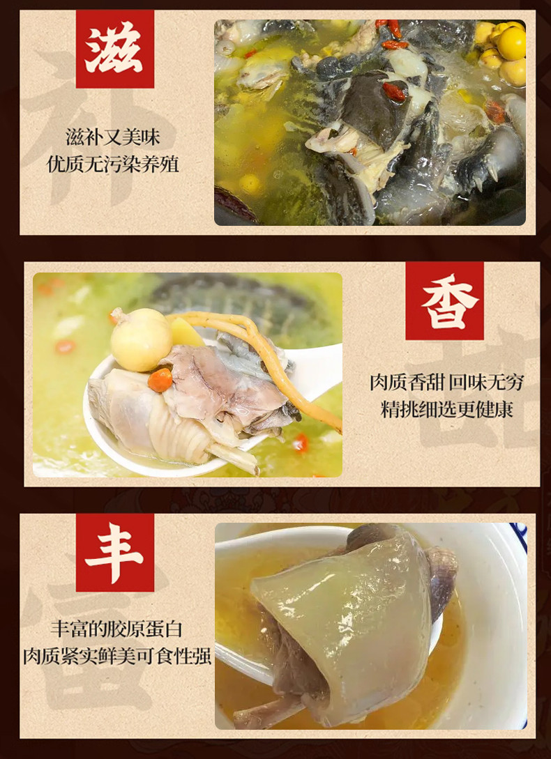 蒲骚 应城汤池甲鱼清汤营养炖汤加热即食罐头速食汤预制菜速食汤