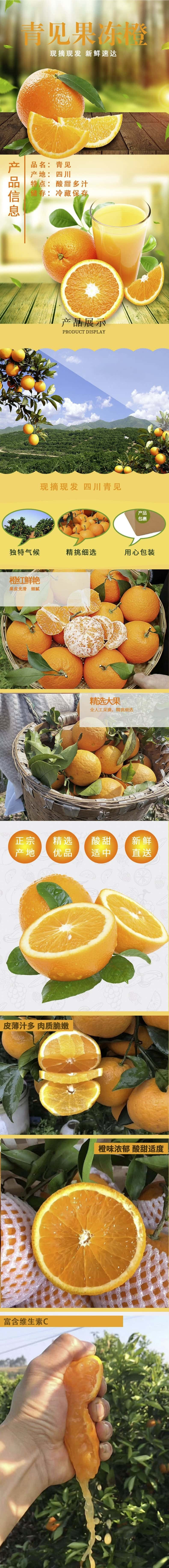 感知起源 青见果冻橙柑橘橙【70-75mm】果园直发带箱