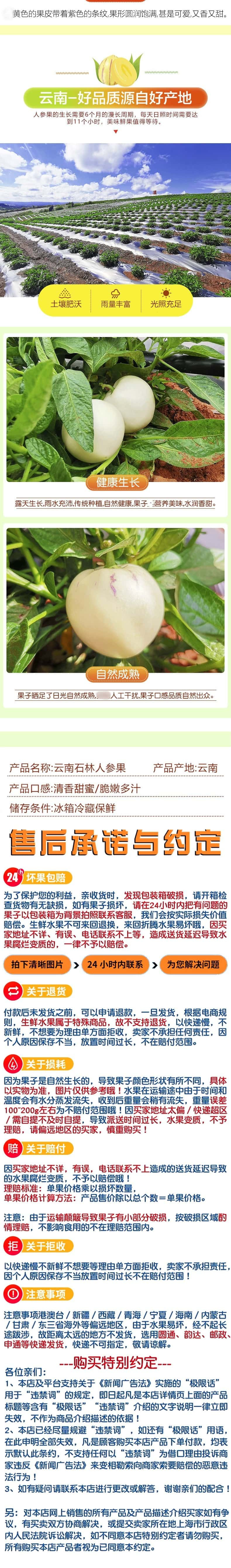 感知起源 云南人参果 小果【单果50g以下】果园直发带箱