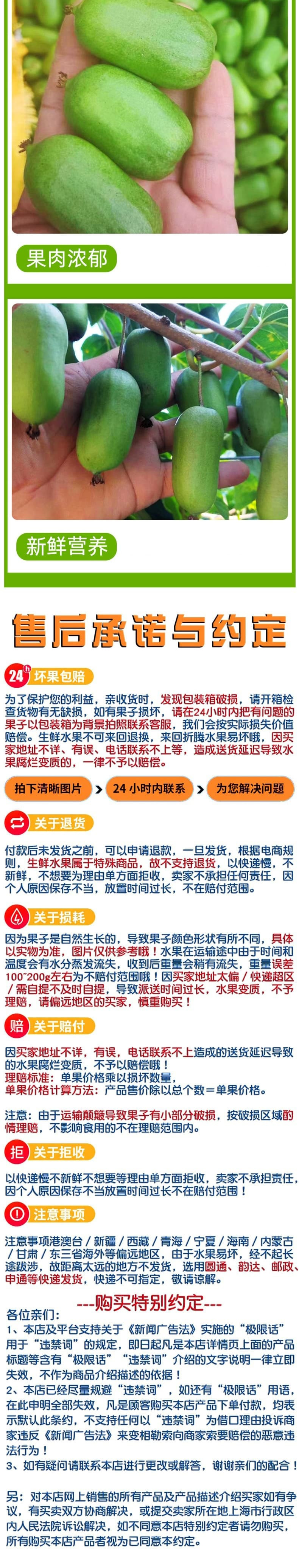  感知起源 【顺丰】软枣猕猴桃  礼盒装【单果15-25g】果园直发带箱