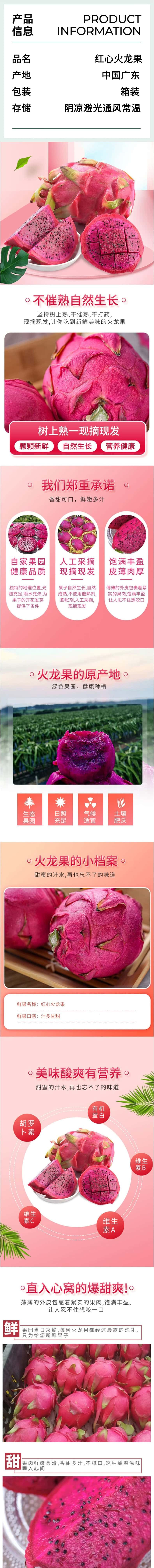  感知起源 广西红心火龙果 大果【单果400-500g】果园直发带箱