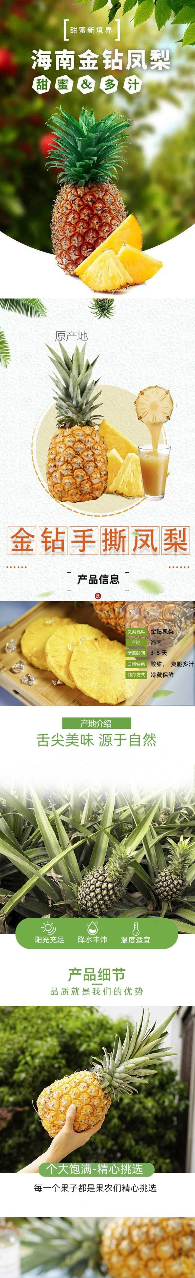  感知起源 金钻凤梨 手撕凤梨香水菠萝 果园直发带箱