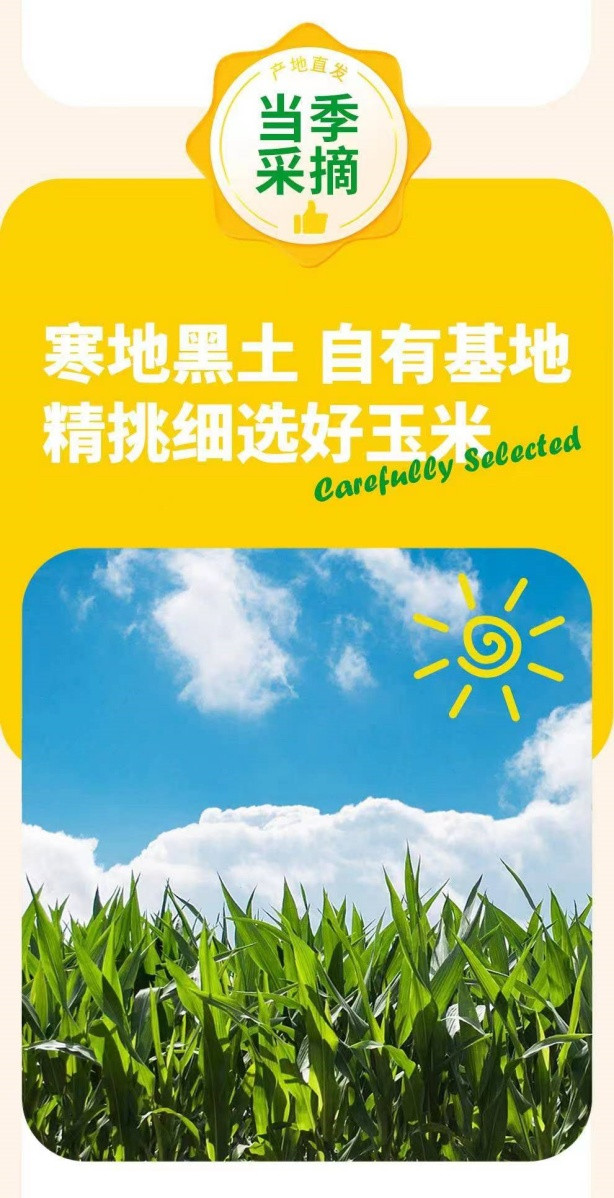  【效期至25年1.18认可再拍】 邮政农品 真空黄糯玉米（1.2kg）