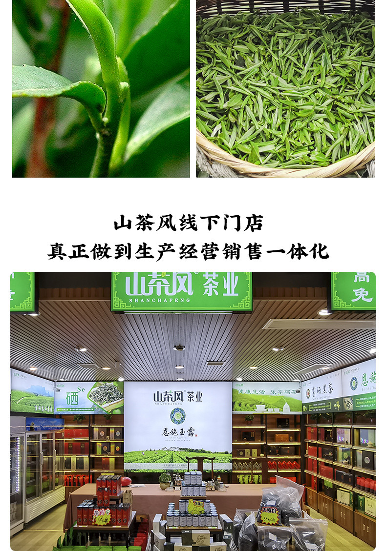 山茶风 （天门）炒青绿茶100g