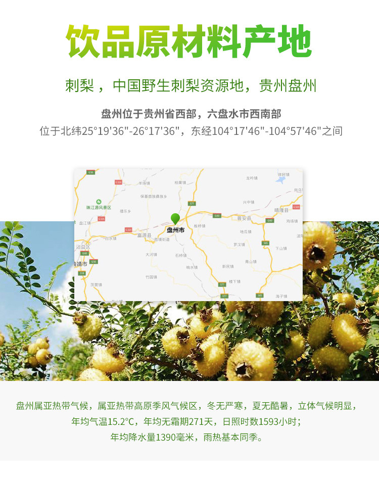 刺梨饮料果汁天然维c贵州胜境庄园6罐*240ml装整箱营养刺梨汁