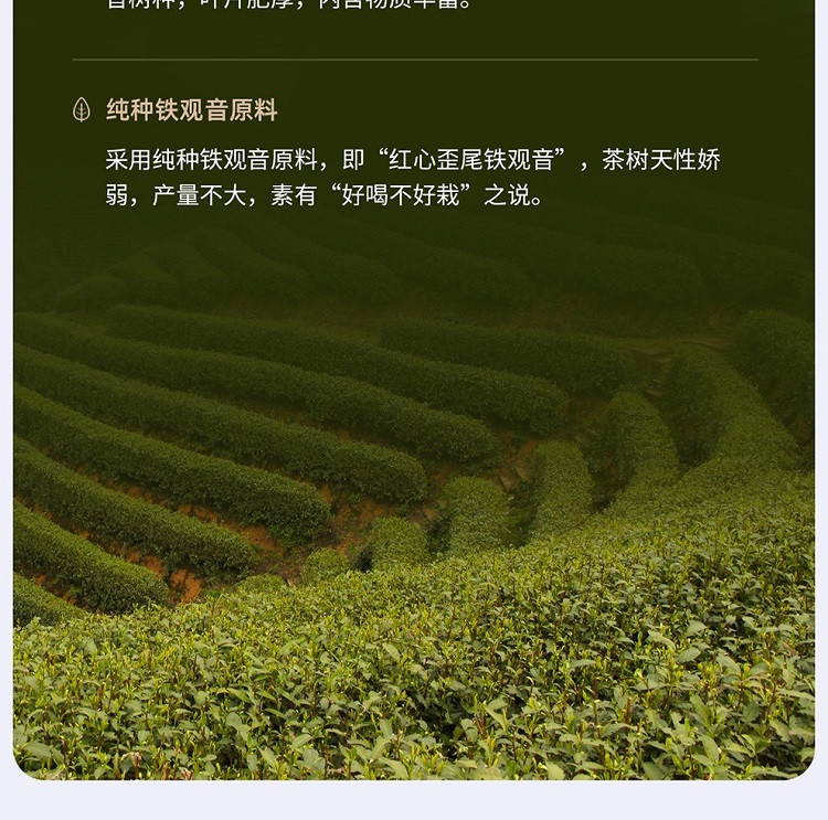 【博鳌亚洲论坛官方用茶】小罐茶银罐系列10罐装铁观音茶40g