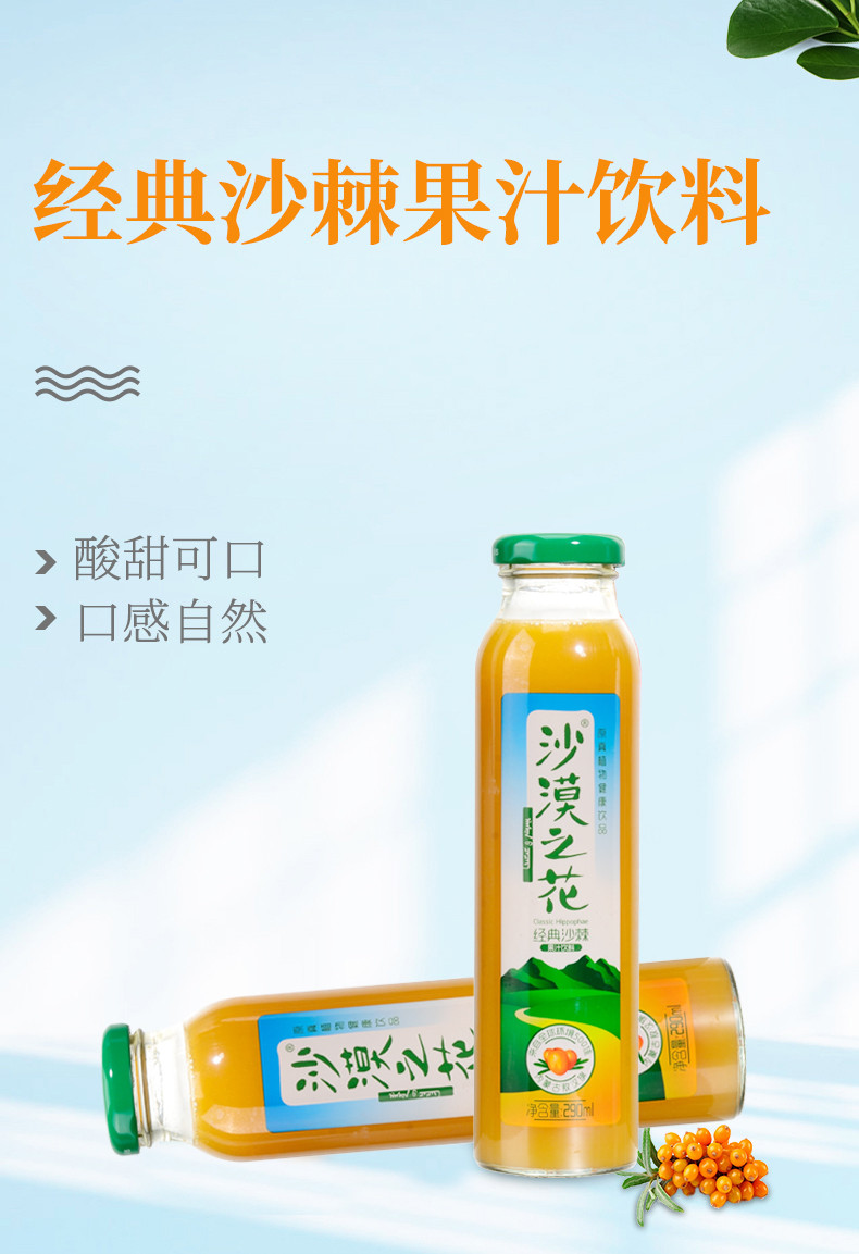 沙漠之花 经典沙棘汁 果汁饮料 290ml*8瓶装整箱 内蒙古特产 沙棘汁