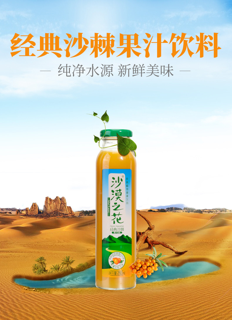 沙漠之花 经典沙棘汁 果汁饮料 290ml*8瓶装整箱 内蒙古特产 沙棘汁