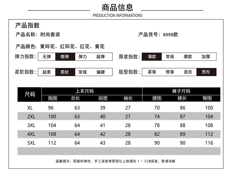 雪暖 夏季新款女式中老年时尚修身翻领轻薄透气带裤子雪纺衫套装XMTQ6058