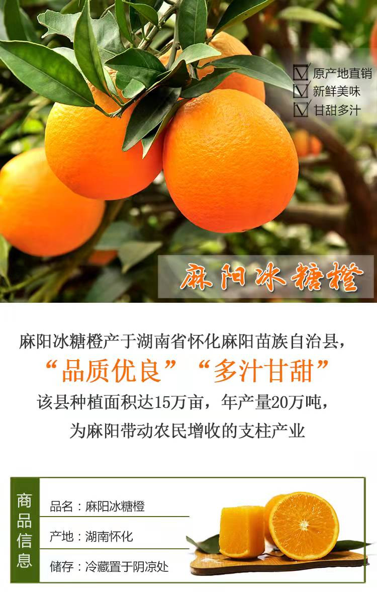麻阳冰糖橙新品种图片