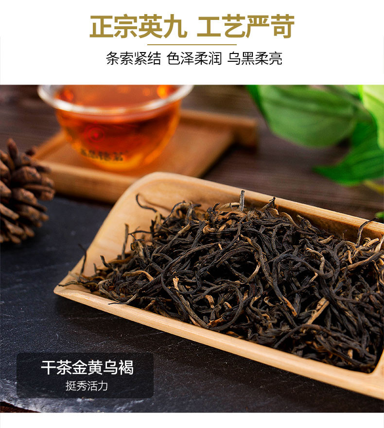 尚品德茗正英紅九號廣東原產英德紅茶250g黃罐裝口糧茶1芽2葉