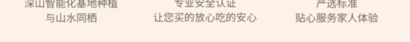  金唐 福建莆田特产6A桂圆干 非无核 龙眼干货桂圆干泡水