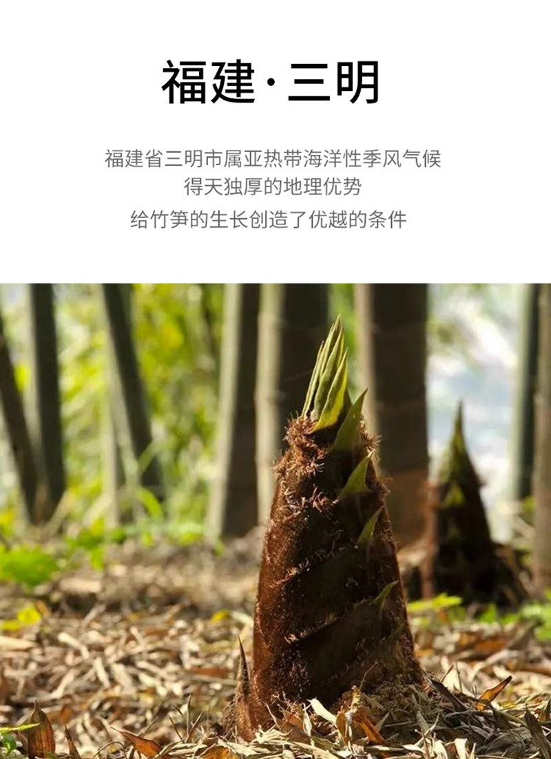 金唐 复水笋干500g 免泡发炭烤笋尖农家自制嫩笋非干货