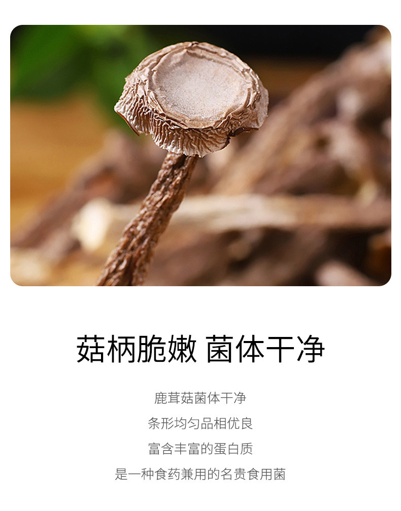 绿帝 鹿茸菇100g