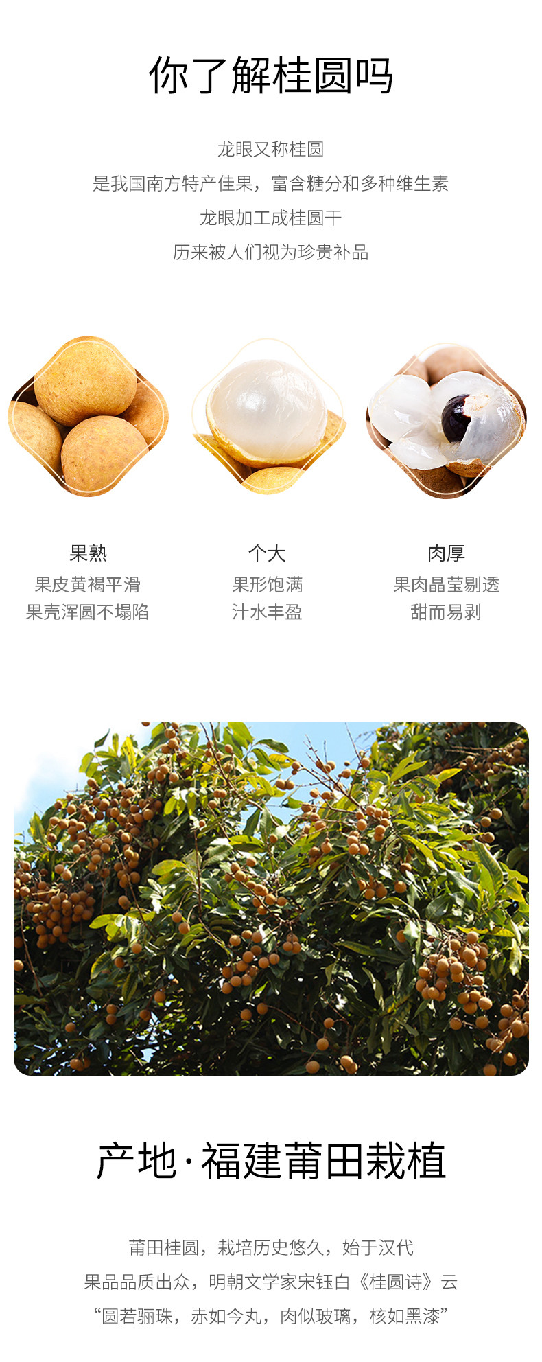 绿帝 桂圆干5A500g