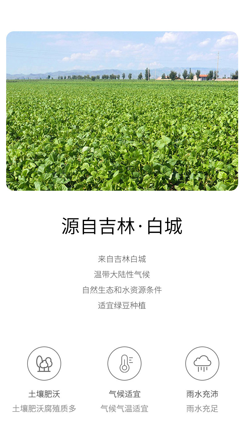 绿帝 绿豆500g