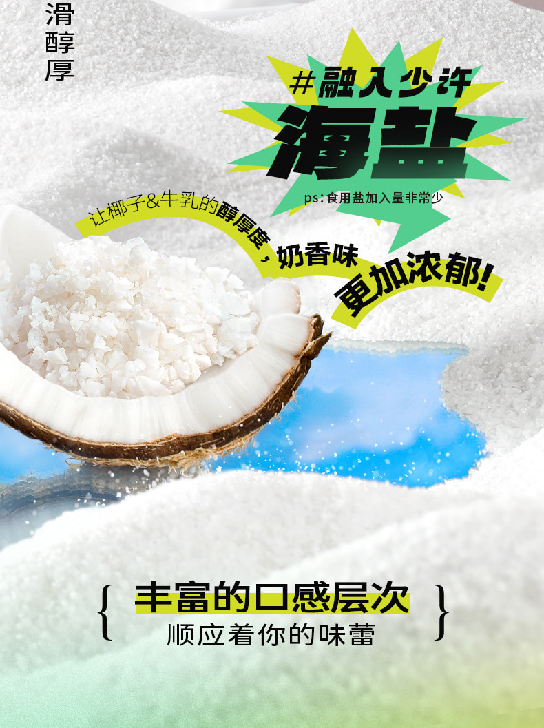 南国 厚椰乳粉300g