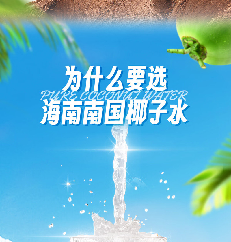 南国 椰子水250ml*6瓶