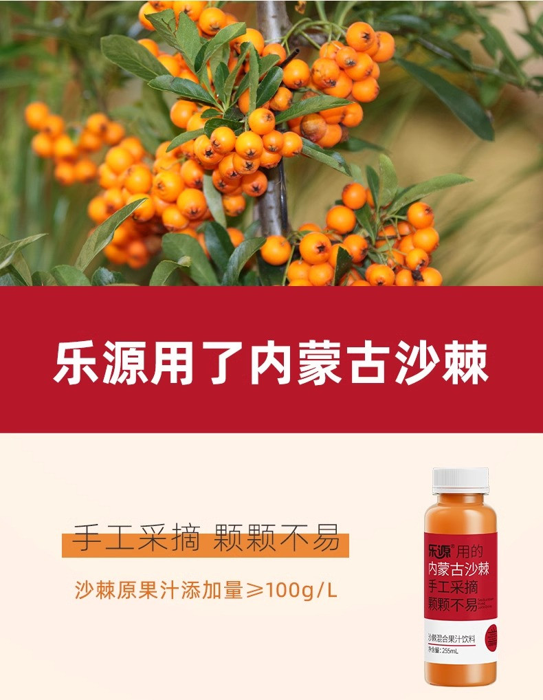 乐源 混合果汁礼盒255ml*10