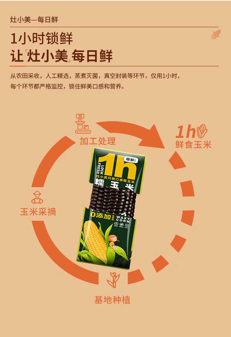 灶小美 黑甜粘玉米棒低脂零食粗粮代餐 8穗/箱14-16CM