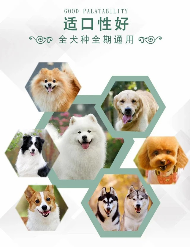 牛肉粒双拼狗粮2.5kg5斤幼犬成犬通用型