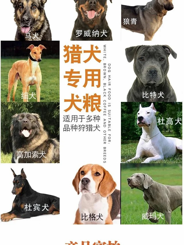 图石果记 宠物狗狗猎犬专用大颗粒通用型营养狗粮