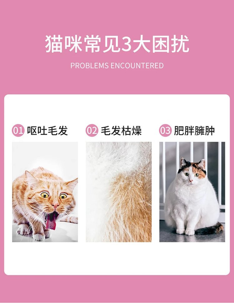 图石果记 宠物猫咪主粮全价成年期营养美味猫粮