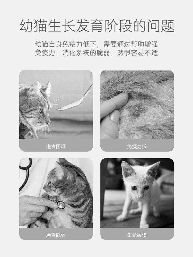 图石果记 宠物猫咪零食幼猫湿粮多口味罐头