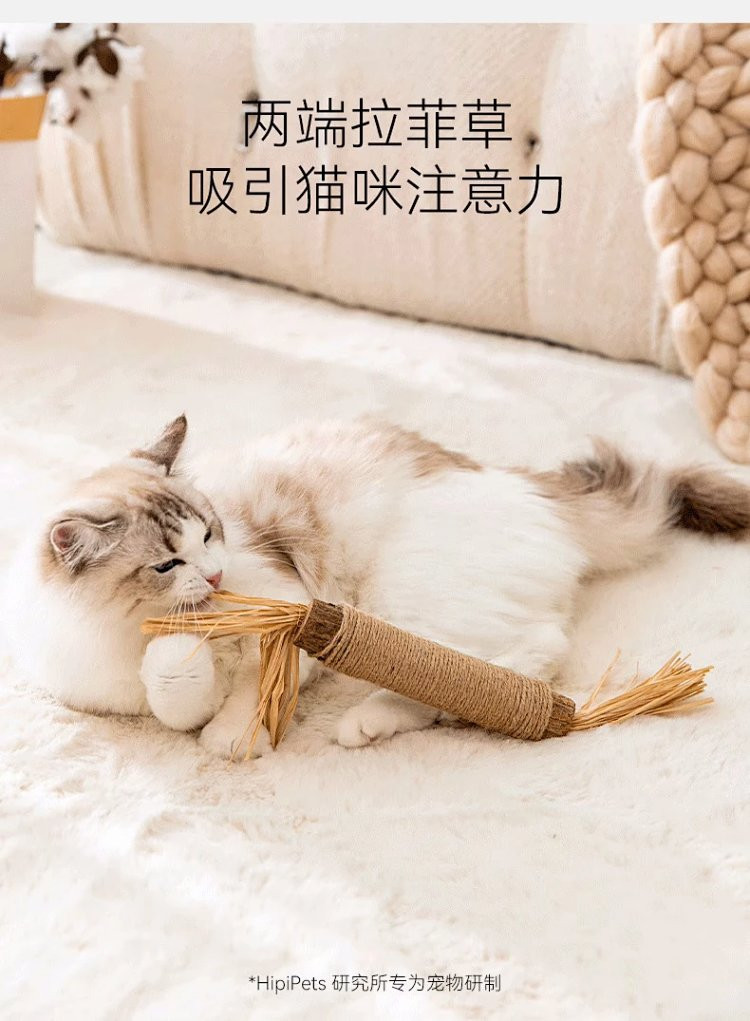 图石果记 宠物猫咪用品磨牙耐咬玩具超大木天蓼虫瘿果 磨牙洁齿 清新口气