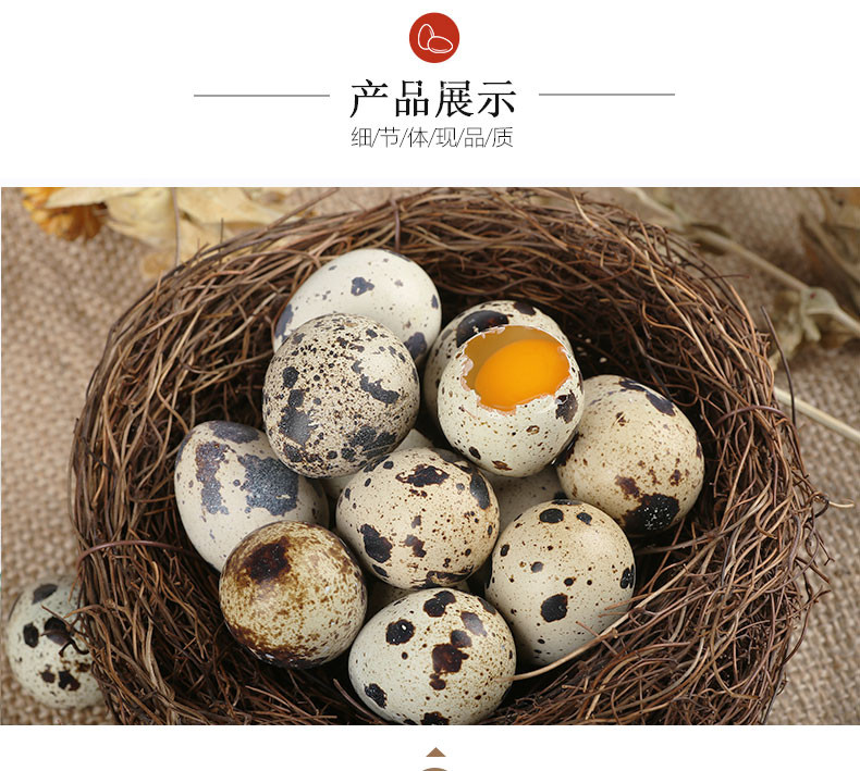 神丹  鹌鹑鲜蛋50枚   宝宝辅食