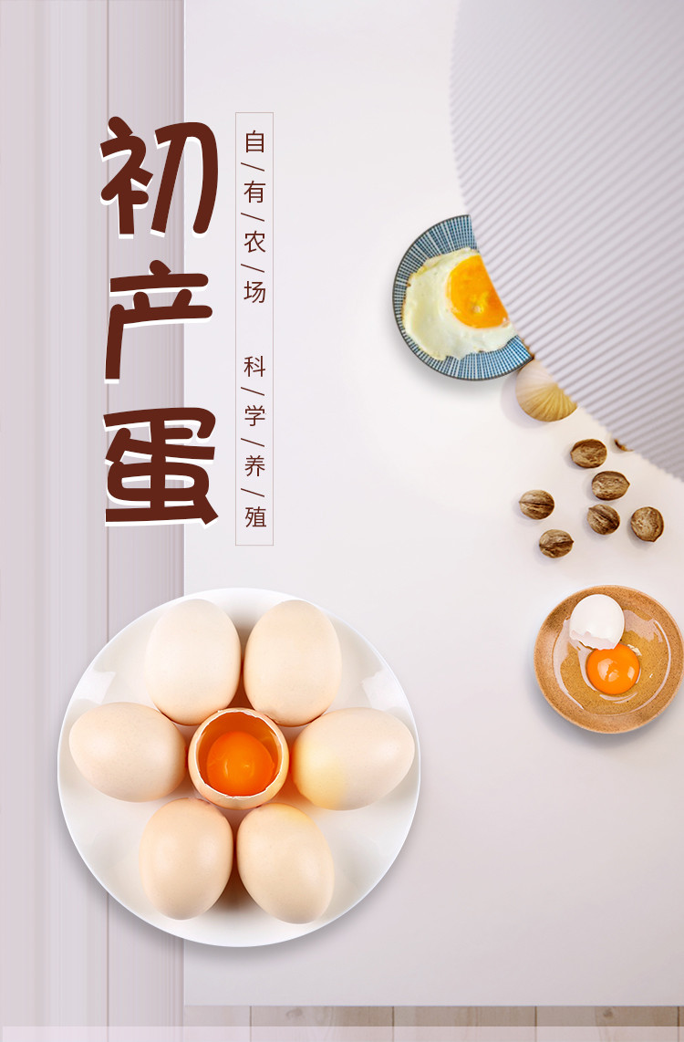 神丹初产鲜鸡蛋40枚1.2kg