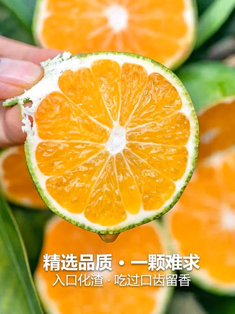 农家自产 湖北宜昌蜜橘子,新鲜水果