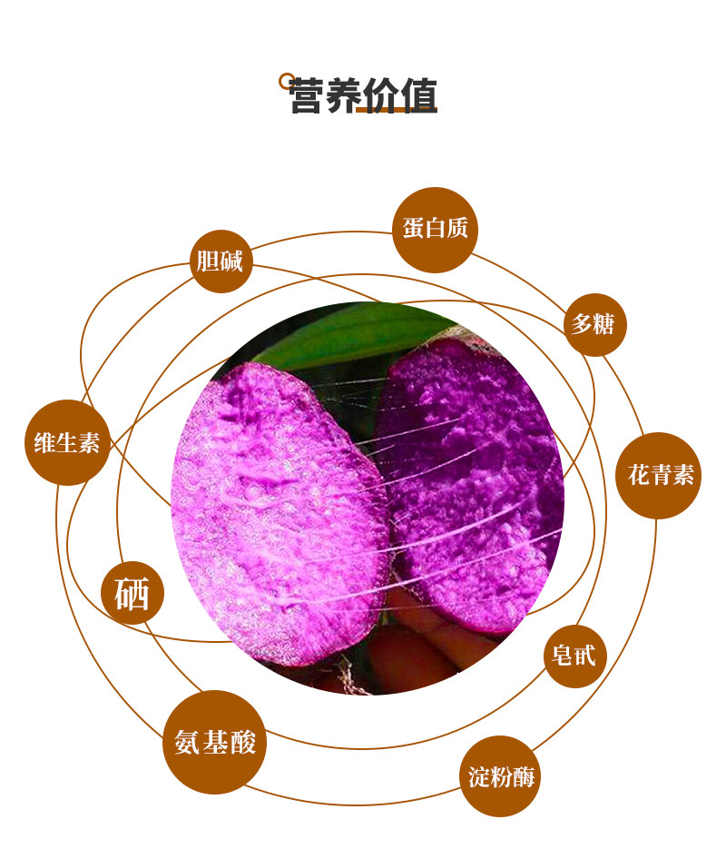 农家自产 湖北恩施紫山药5斤礼盒装，顺丰发货