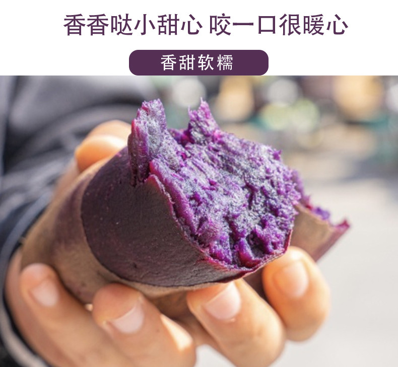  农家自产 山东水晶紫薯4.5斤，香甜软糯