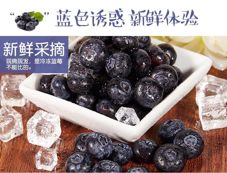  农家自产 辽宁丹东蓝莓L25，清甜可口，顺丰发货