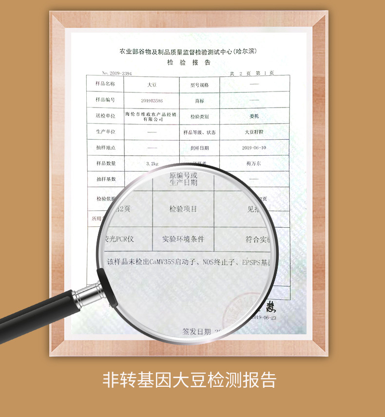 安阳特产 世代传承  口感劲道 不加盐独立包装 黄豆腐竹条250g*3袋装