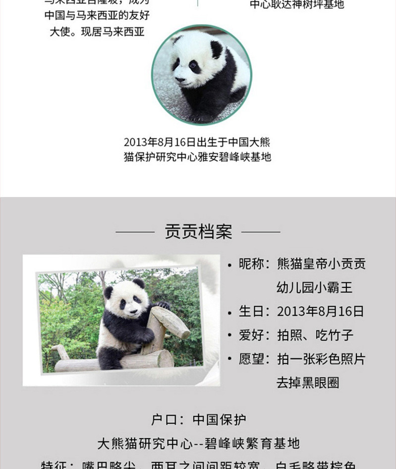 泸州 泸州贡·保护大熊猫52°浓香
