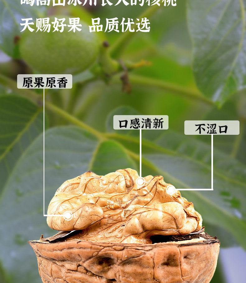 新疆阿克苏 五香草本味 核桃《皮薄肉厚果大》1000克/箱【2斤装】大果