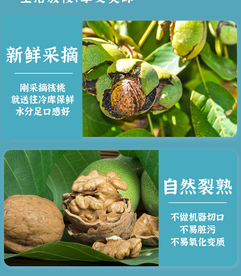 新疆阿克苏 五香草本味 核桃《皮薄肉厚果大》1000克/箱【2斤装】大果