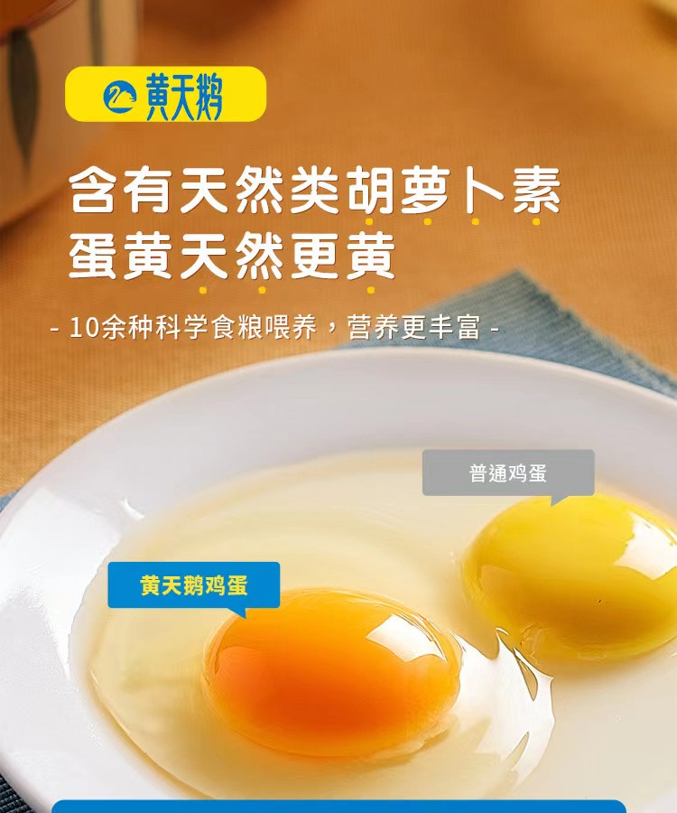 黄天鹅 可生食蛋 可生食 无菌鸡蛋 无抗生素 无沙门氏菌  精选装